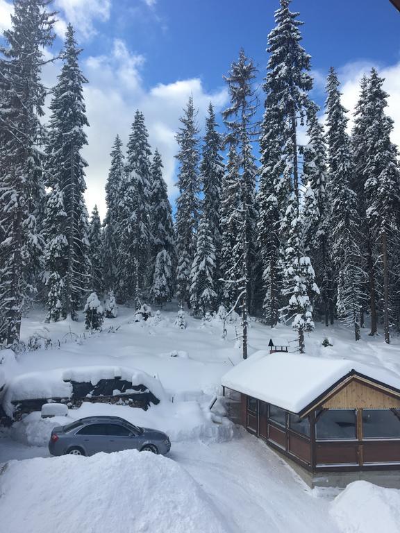 Hotel Cabana Ama Tău Bistra Zewnętrze zdjęcie